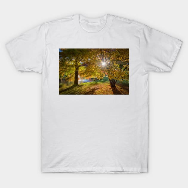 Golden Sunrise in Kawarau Falls Scenic Reserve T-Shirt by Rexel99